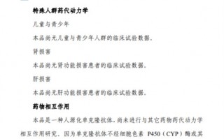 撰写技术报告，撰写技术报告业绩证明